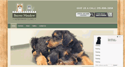 Desktop Screenshot of beavermeadowvet.com